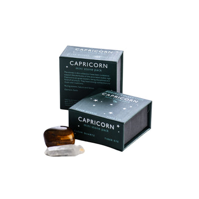 Capricorn Zodiac Mini Stone Pack